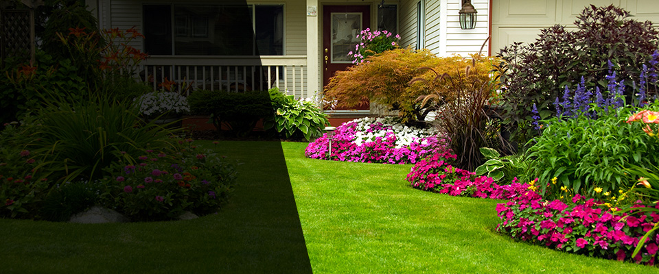 Hernando Landscapers