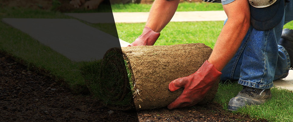 Hernando Landscapers